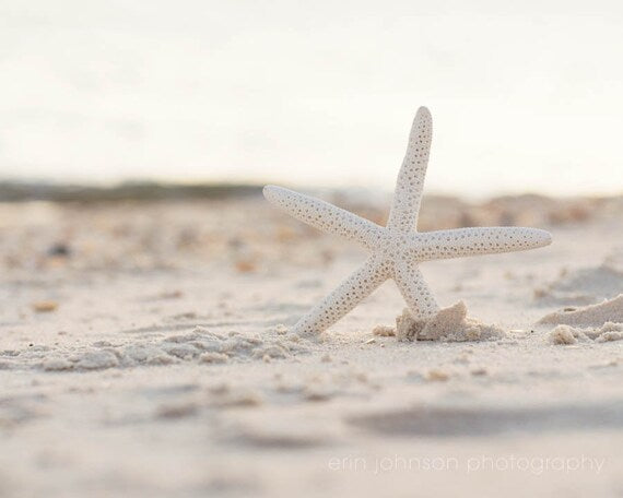 A high-resolution photograph of a starfish on a sandy beach, with a blurred background.