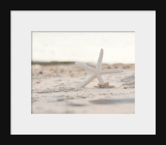 A high-resolution photograph of a starfish on a sandy beach, with a blurred background.