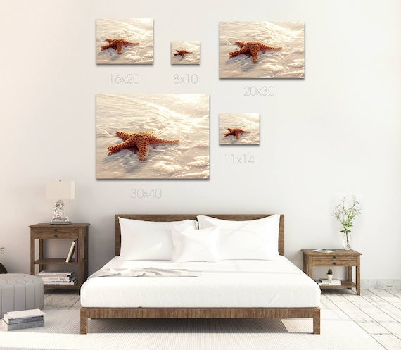 Starfish | Beach Photography Print