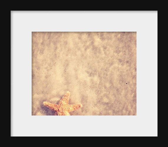 The One That Got Away | Starfish Photography Print