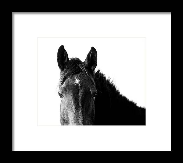 Starlight Black and White - Framed Print