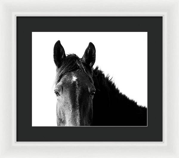 Starlight Black and White - Framed Print