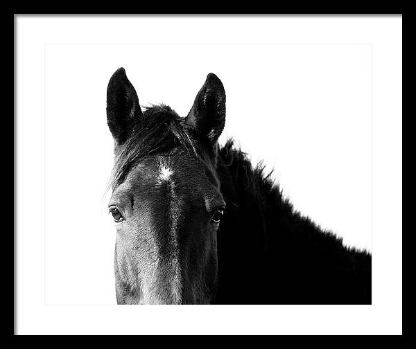 Starlight Black and White - Framed Print