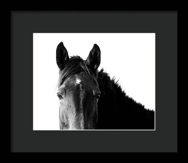 Starlight Black and White - Framed Print