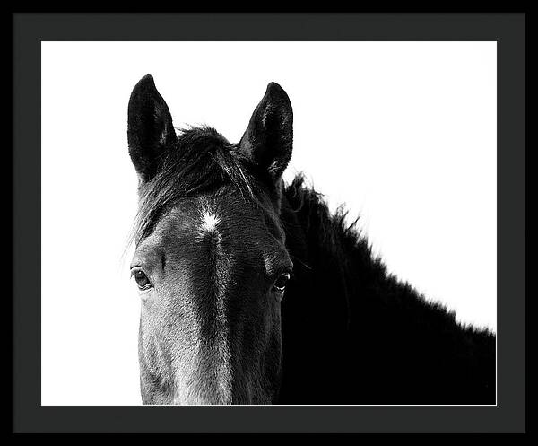 Starlight Black and White - Framed Print