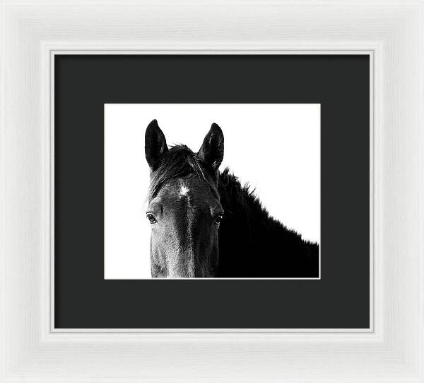 Starlight Black and White - Framed Print