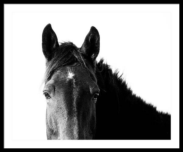 Starlight Black and White - Framed Print