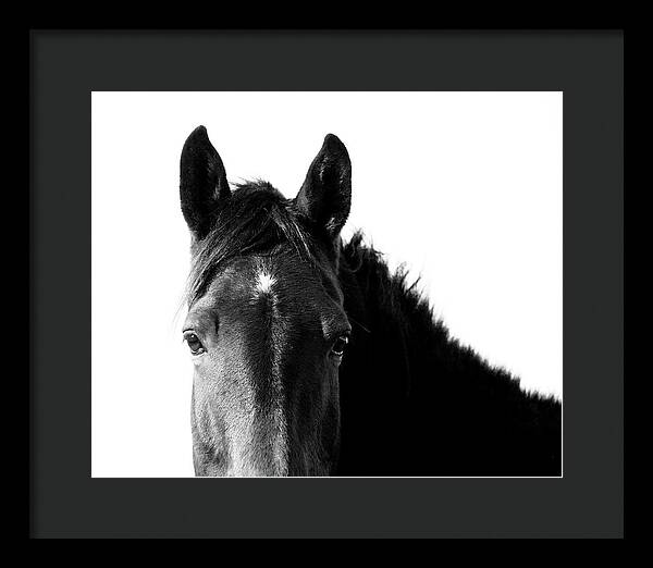 Starlight Black and White - Framed Print