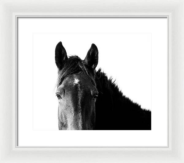 Starlight Black and White - Framed Print