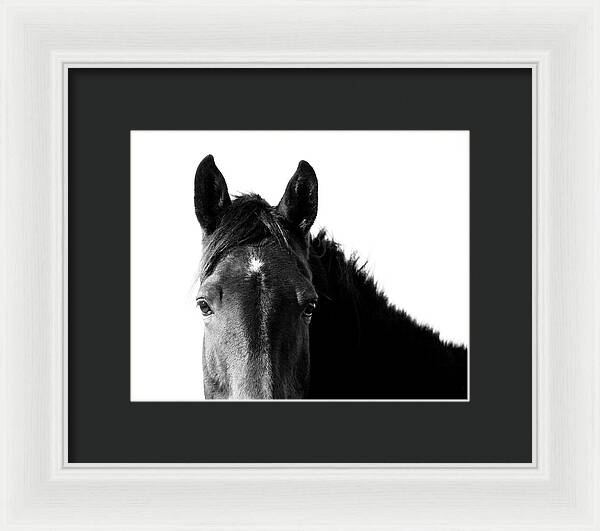 Starlight Black and White - Framed Print