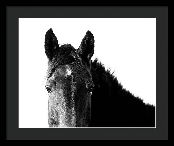 Starlight Black and White - Framed Print