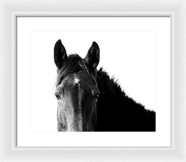 Starlight Black and White - Framed Print