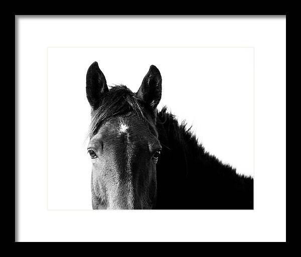 Starlight Black and White - Framed Print