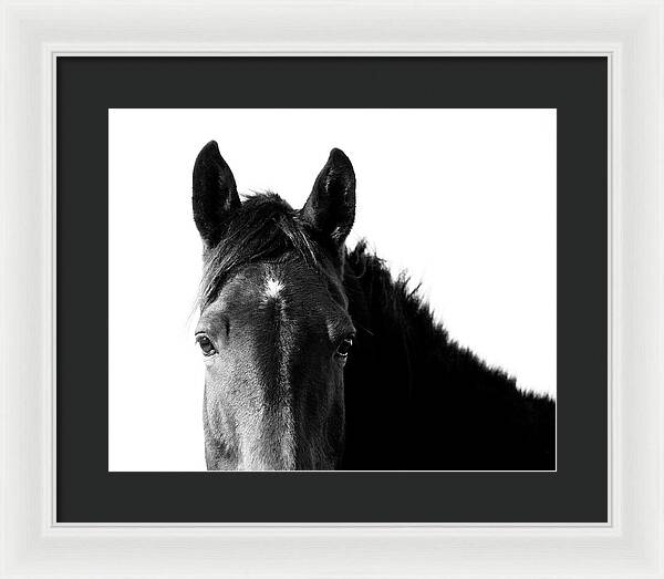 Starlight Black and White - Framed Print