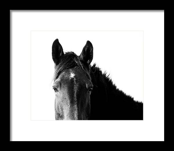 Starlight Black and White - Framed Print