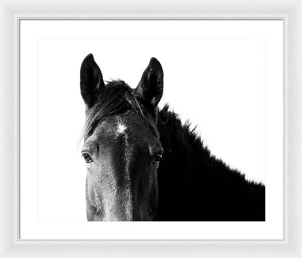 Starlight Black and White - Framed Print