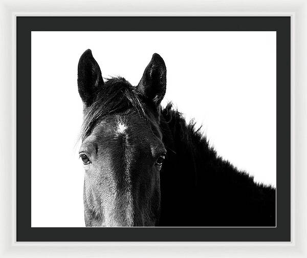 Starlight Black and White - Framed Print