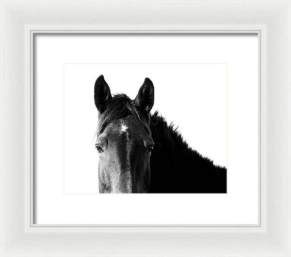 Starlight Black and White - Framed Print