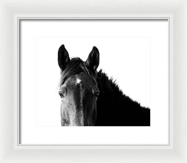 Starlight Black and White - Framed Print