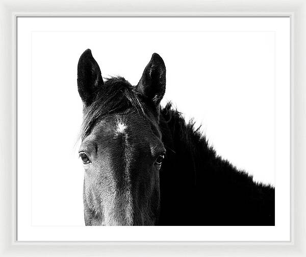 Starlight Black and White - Framed Print