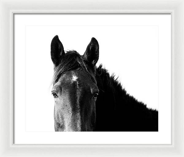 Starlight Black and White - Framed Print