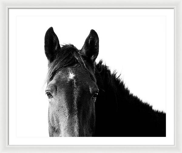 Starlight Black and White - Framed Print