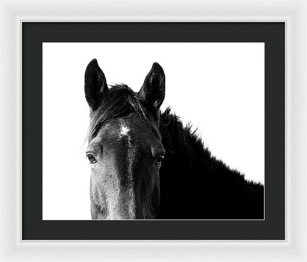 Starlight Black and White - Framed Print