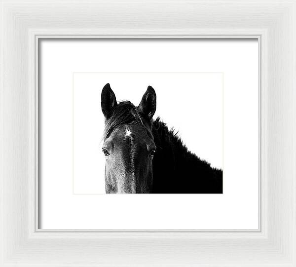 Starlight Black and White - Framed Print