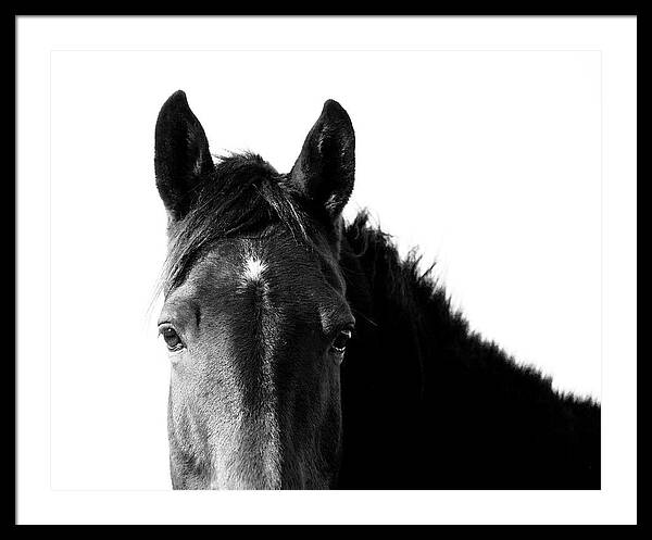 Starlight Black and White - Framed Print