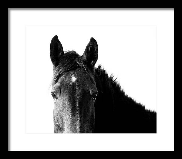 Starlight Black and White - Framed Print