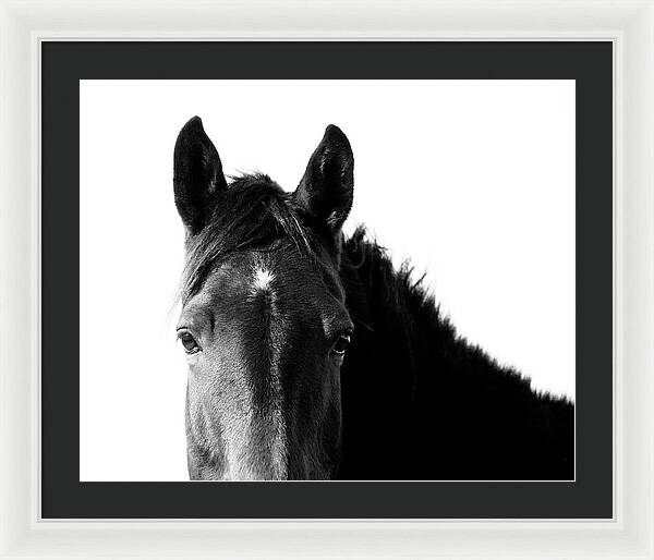 Starlight Black and White - Framed Print