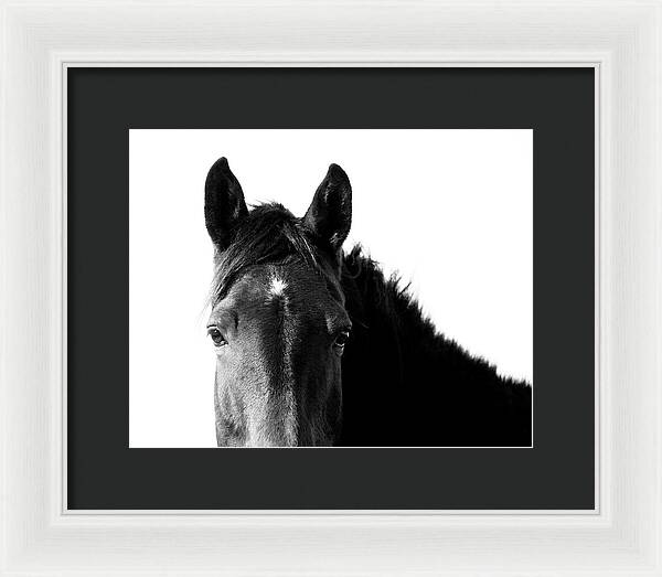 Starlight Black and White - Framed Print