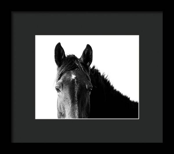 Starlight Black and White - Framed Print