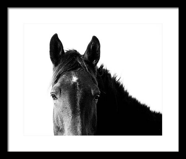 Starlight Black and White - Framed Print