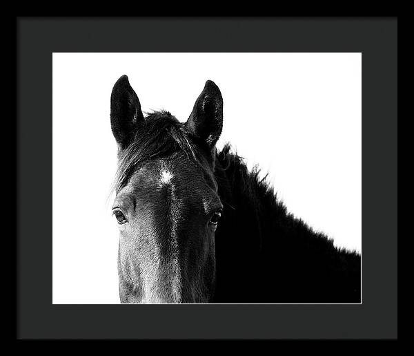 Starlight Black and White - Framed Print