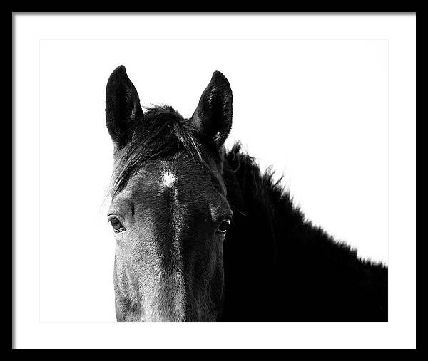 Starlight Black and White - Framed Print