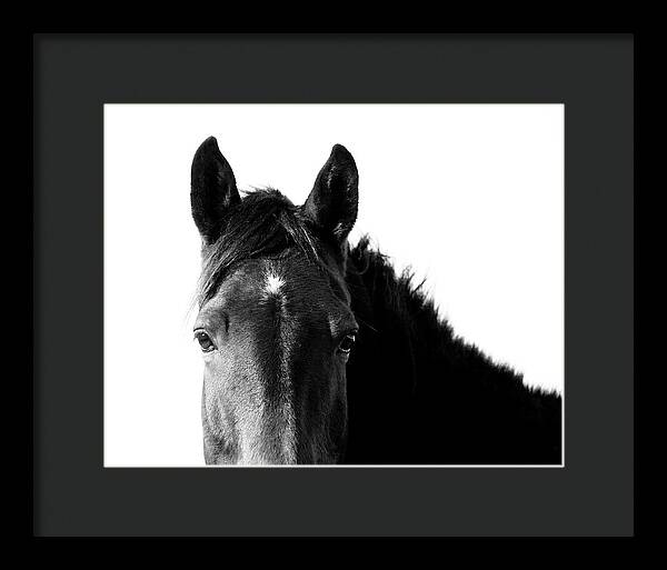 Starlight Black and White - Framed Print