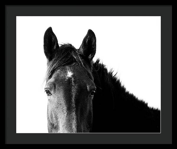 Starlight Black and White - Framed Print