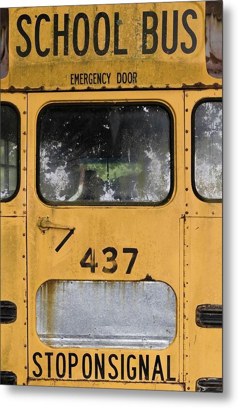 A metal print featuring the side view of a yellow school bus with the number 437 visible on the door.
