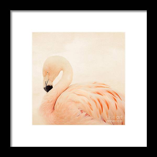 a pink flamingo standing in the snow
