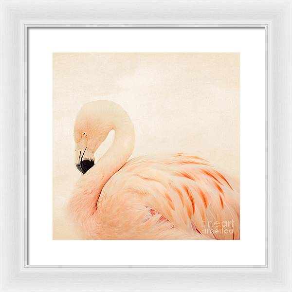 Pink Flamingo - Framed Print