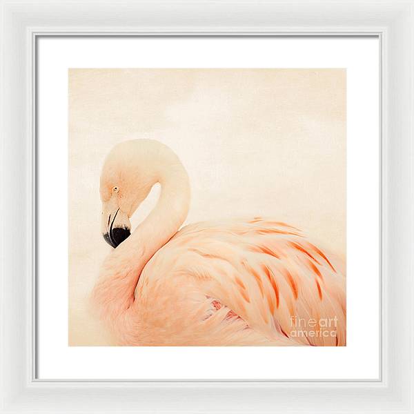 Pink Flamingo - Framed Print