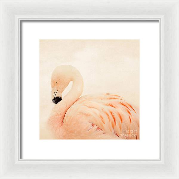 Pink Flamingo - Framed Print