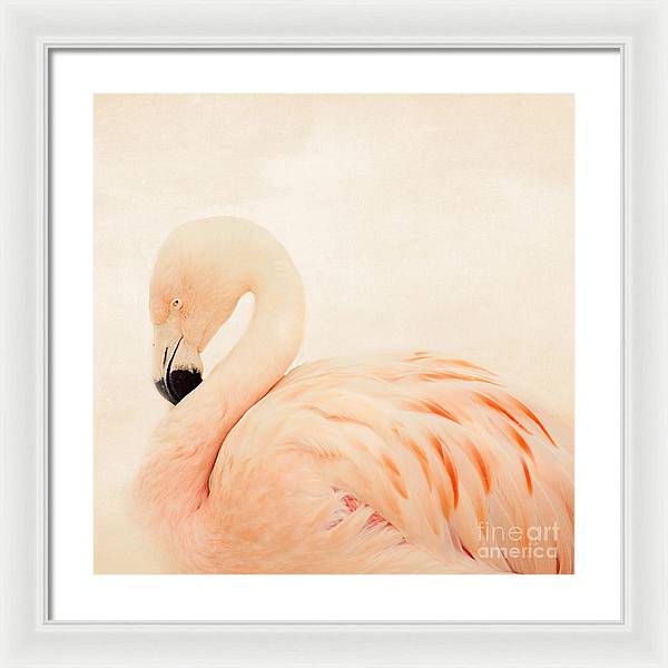 Pink Flamingo - Framed Print