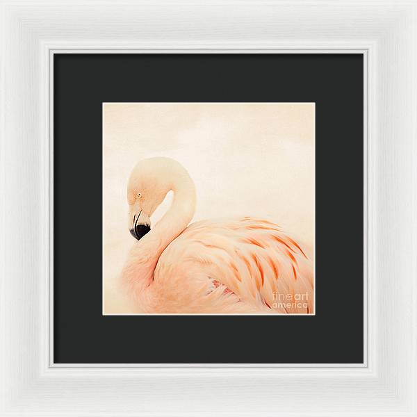 Pink Flamingo - Framed Print