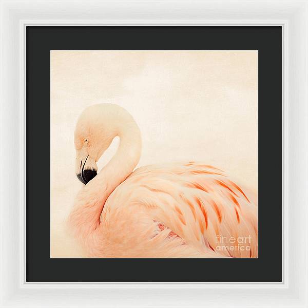 Pink Flamingo - Framed Print