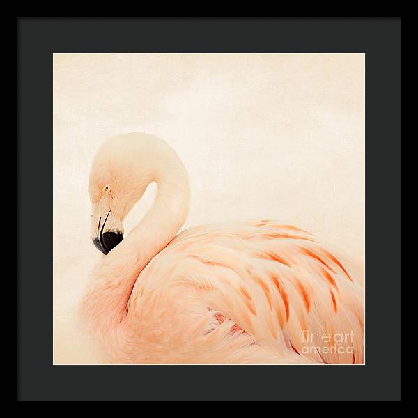 Pink Flamingo - Framed Print
