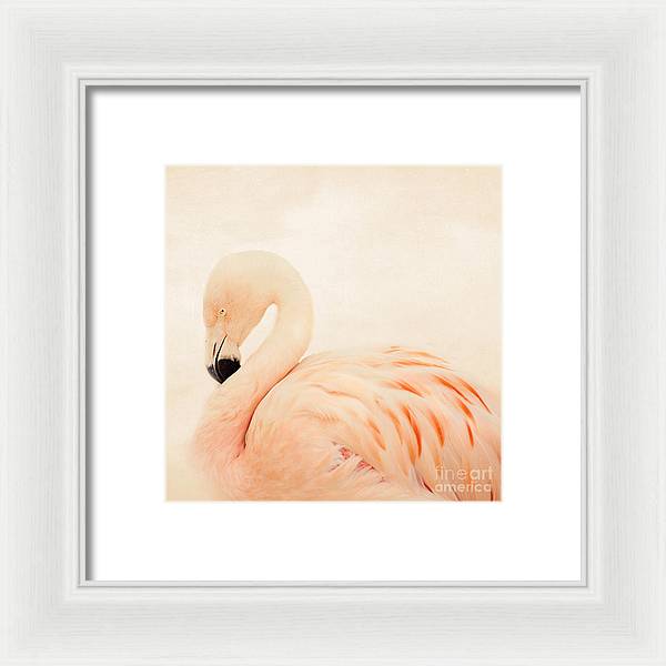 Pink Flamingo - Framed Print