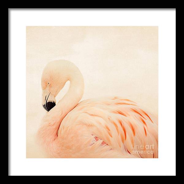 Pink Flamingo - Framed Print