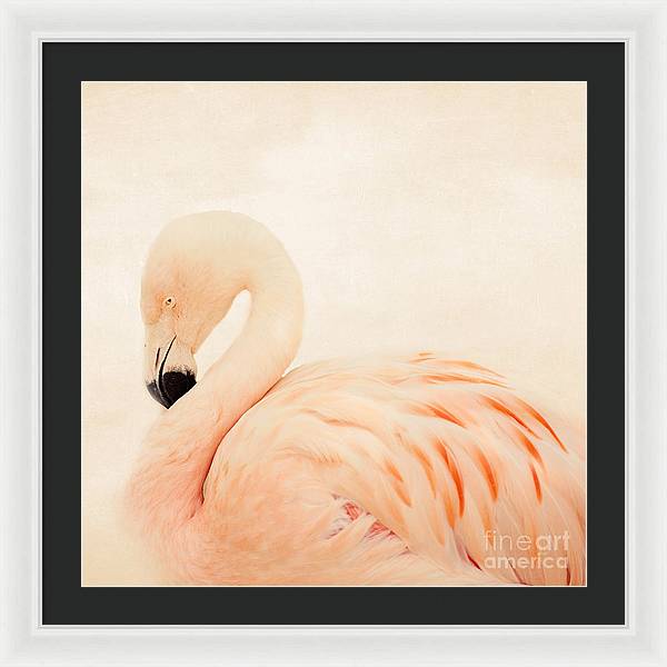 Pink Flamingo - Framed Print